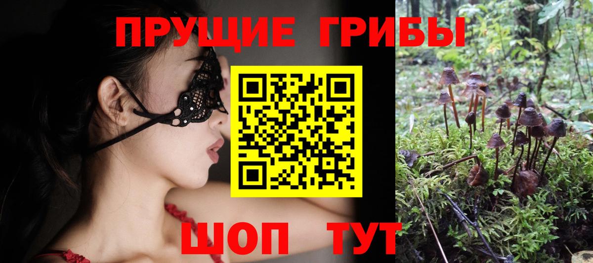 Псилоцибиновые грибы мицелий  Вход с VPN  Усинск 